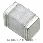 GTCC23-231M-R01-2