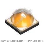 GW CSSRM1.BM-LTMP-A838-1