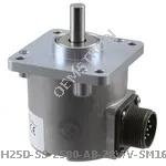 H25D-SS-2500-AB-28V/V-SM16