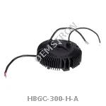 HBGC-300-H-A