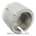 HSLCS-CALCL-021