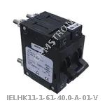 IELHK11-1-61-40.0-A-01-V