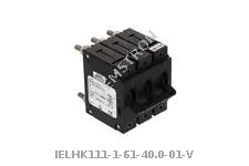 IELHK111-1-61-40.0-01-V
