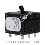 IUG111-1-62-5.00-Q-01