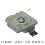 LB W5AM-GYHY-25-0-350-R18-Z