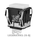 LB16RKW01-28-BJ