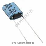 PM-5R0V104-R