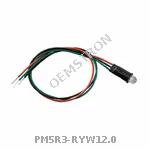 PM5R3-RYW12.0