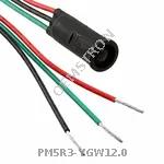 PM5R3-YGW12.0