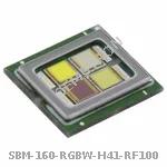 SBM-160-RGBW-H41-RF100