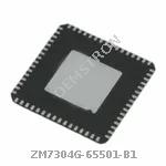 ZM7304G-65501-B1